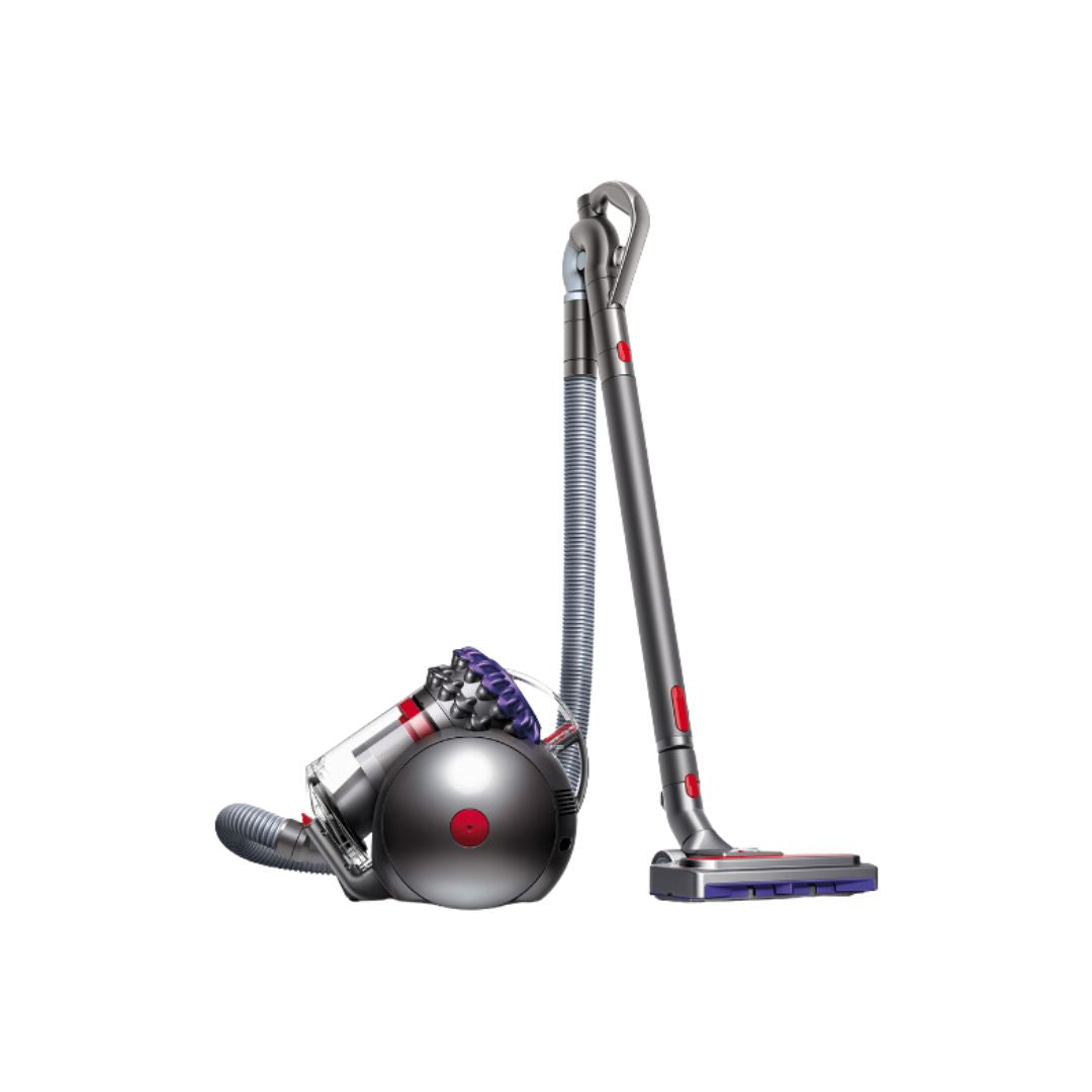 DYSON BIG BALL ANIMAL 2 | 228563-01